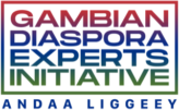 Gambian Diaspora Experts Initiative